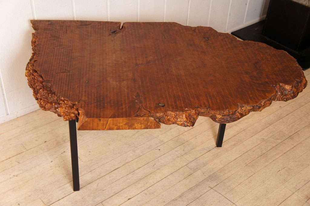Chinese Exquisite Burl Wood Cocktail Table For Sale