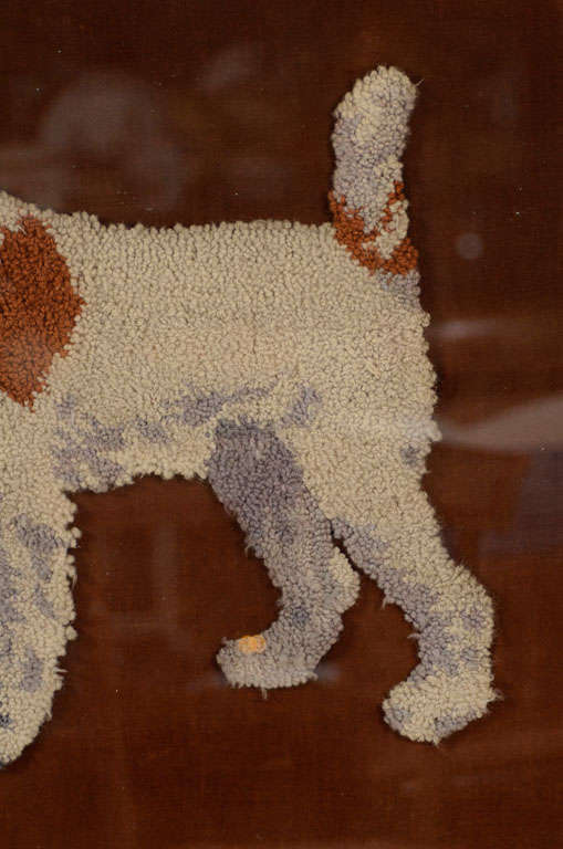 large wire haired terrier