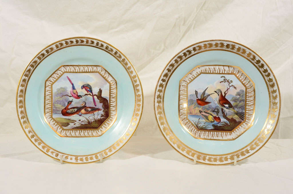 A Pair of  Derby Dishes With Birds