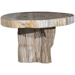 Vintage A Petrified Wood Coffee Table