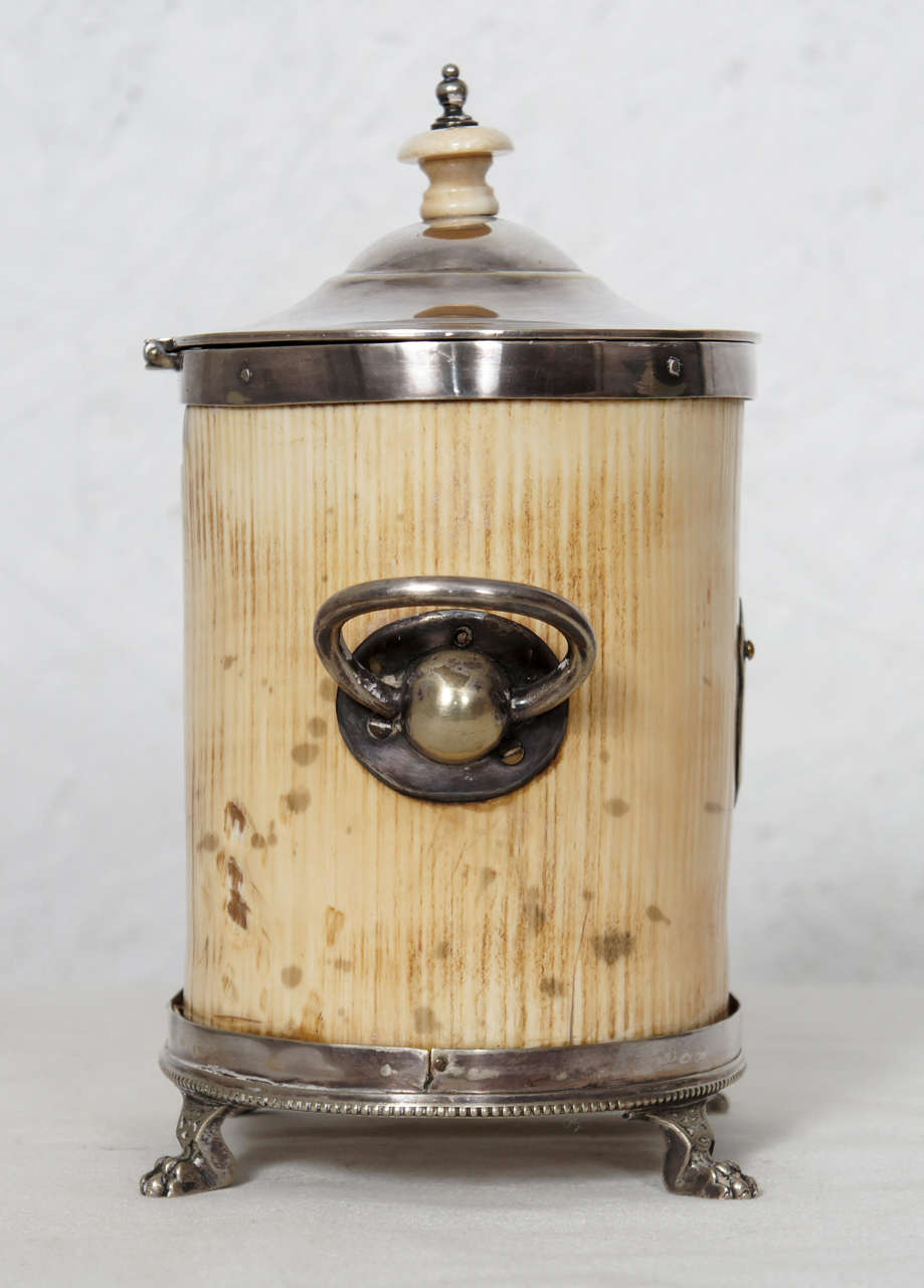 Aesthetic Movement Silver and Ivory Tea Caddy For Sale