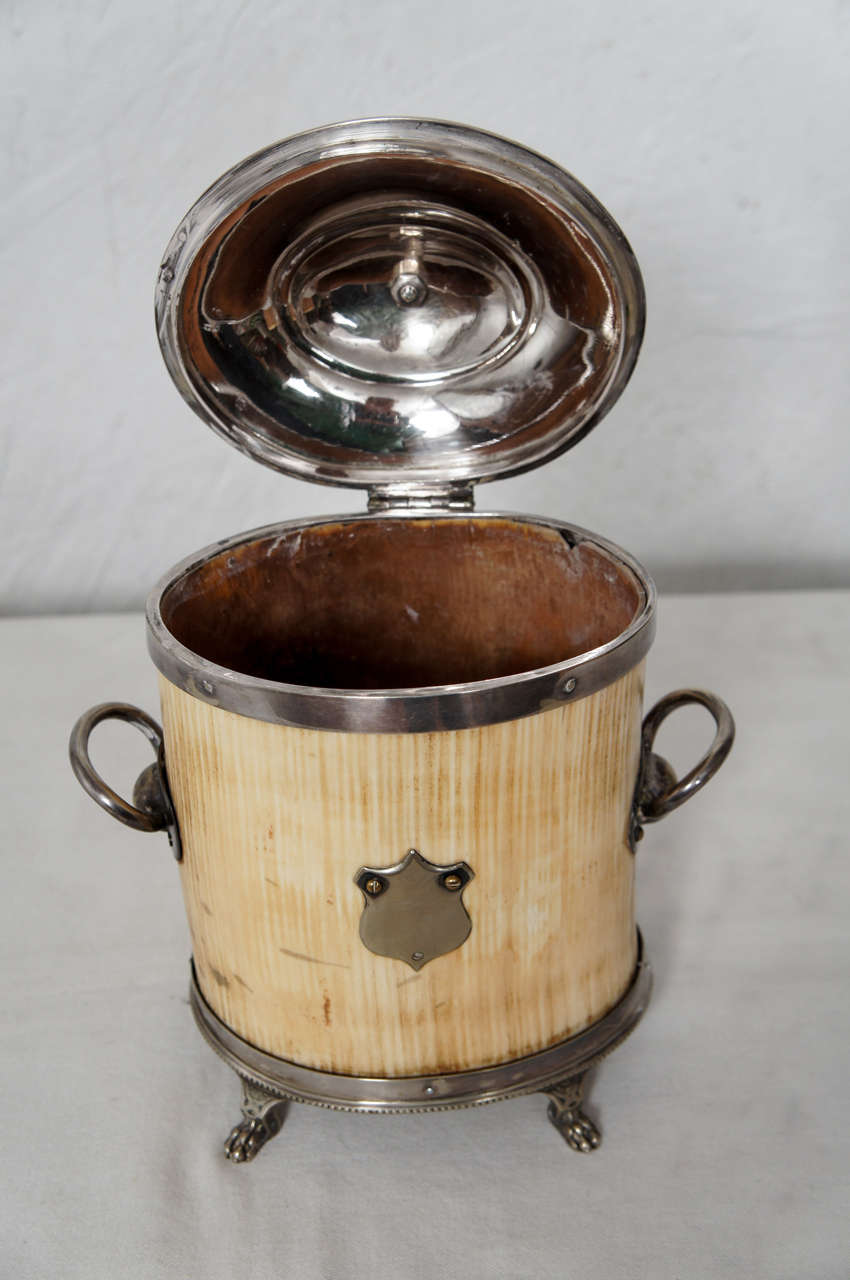 Silver and Ivory Tea Caddy For Sale 3