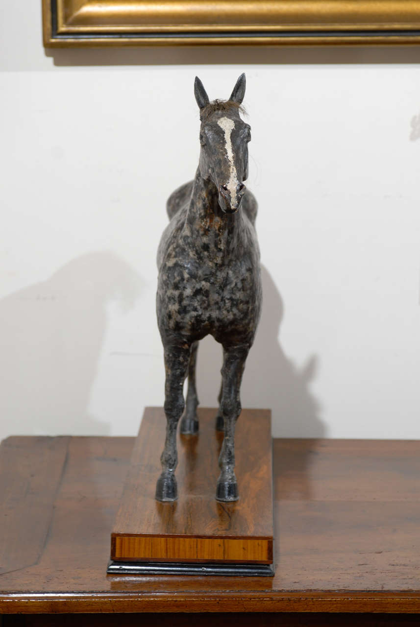 Composition English Late 19th Century Grey Horse Sculpture on Rosewood Base