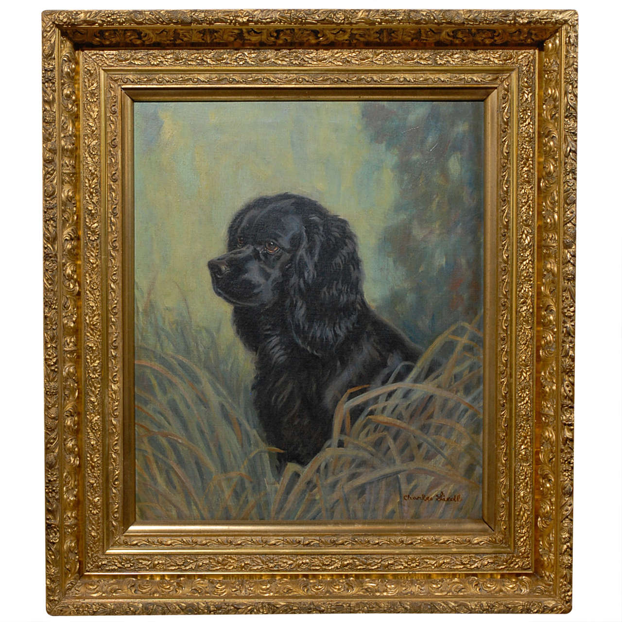 American Oil Painting of Black Dog in FourTier Giltwood Frame, circa