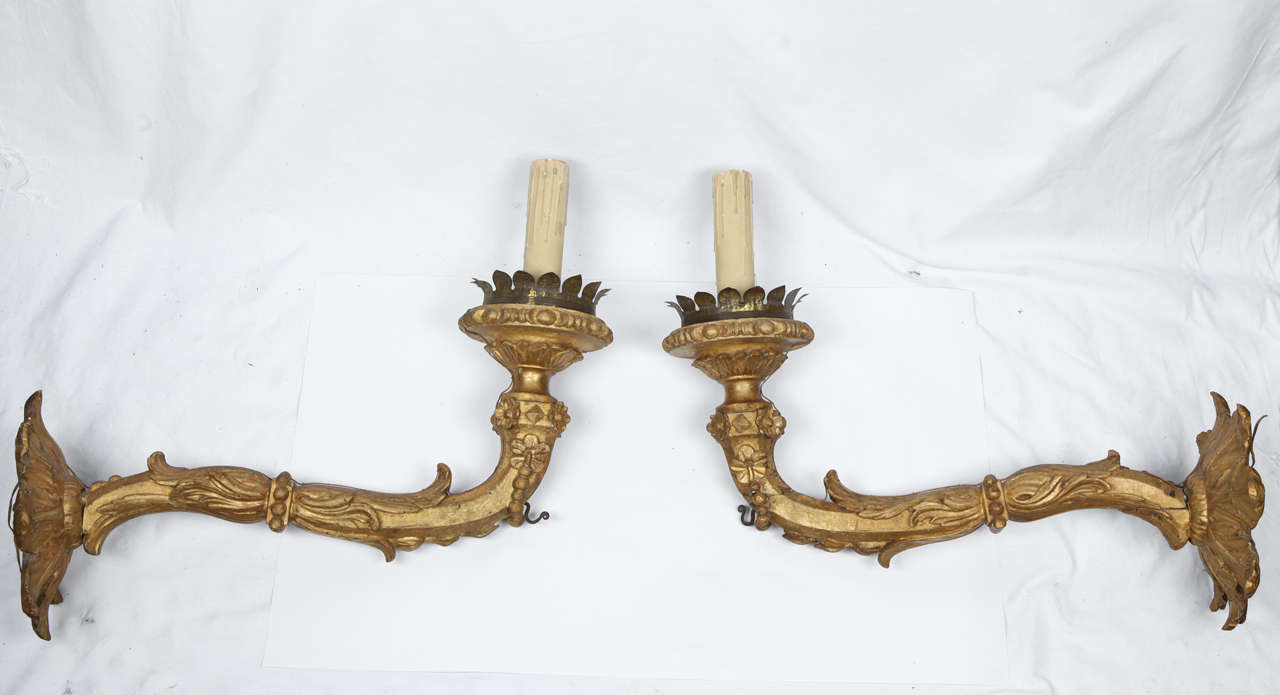Pair of huge carved and gilded wood wall torch holders. 18th century