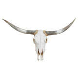 Vintage "Memento Mori" Long-Horn Steer Skull