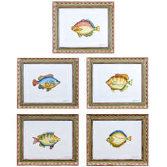 Set of Five Watercolor Fish by Dora McDaniels