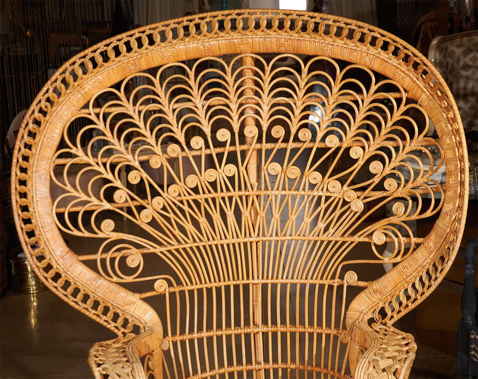 Pair of Wicker Peacock Chairs
