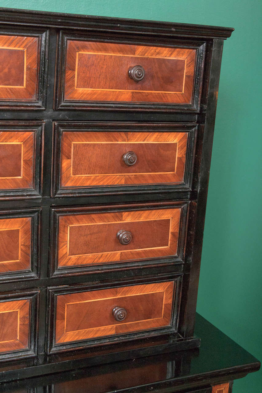 Wood English Specimen Cabinet on Stand