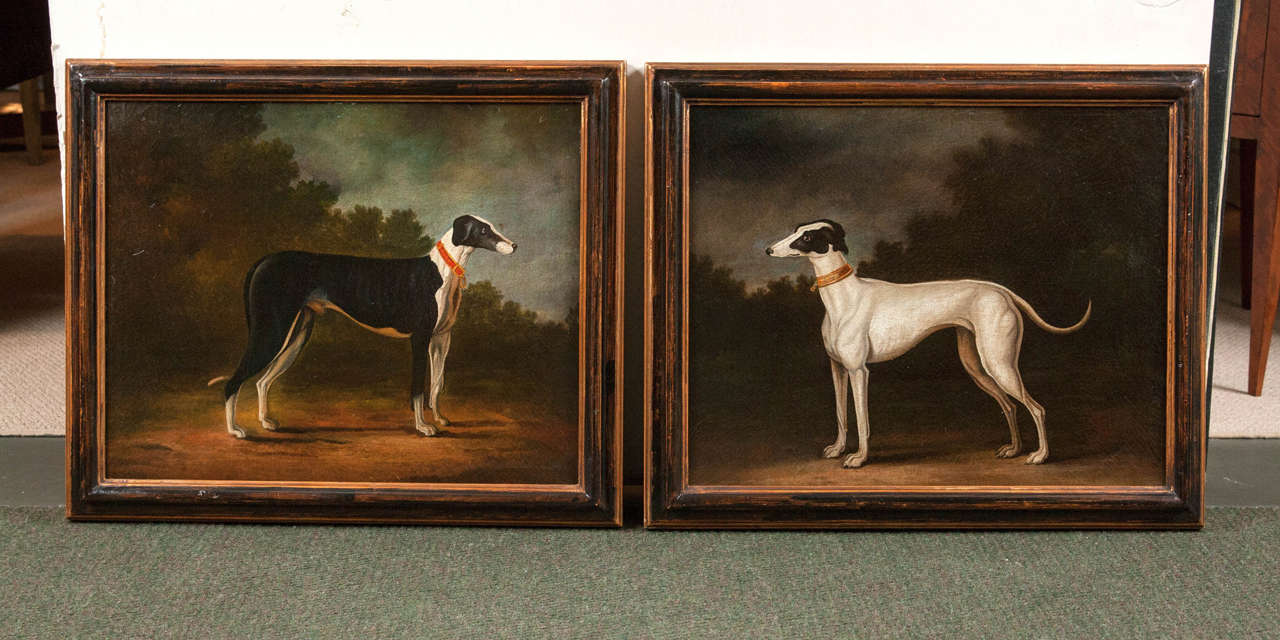 A pair of late 18th century English Greyhound racing dogs standing, Oil on Canvas Paintings.

Indistinctly signed on the white dog collar.