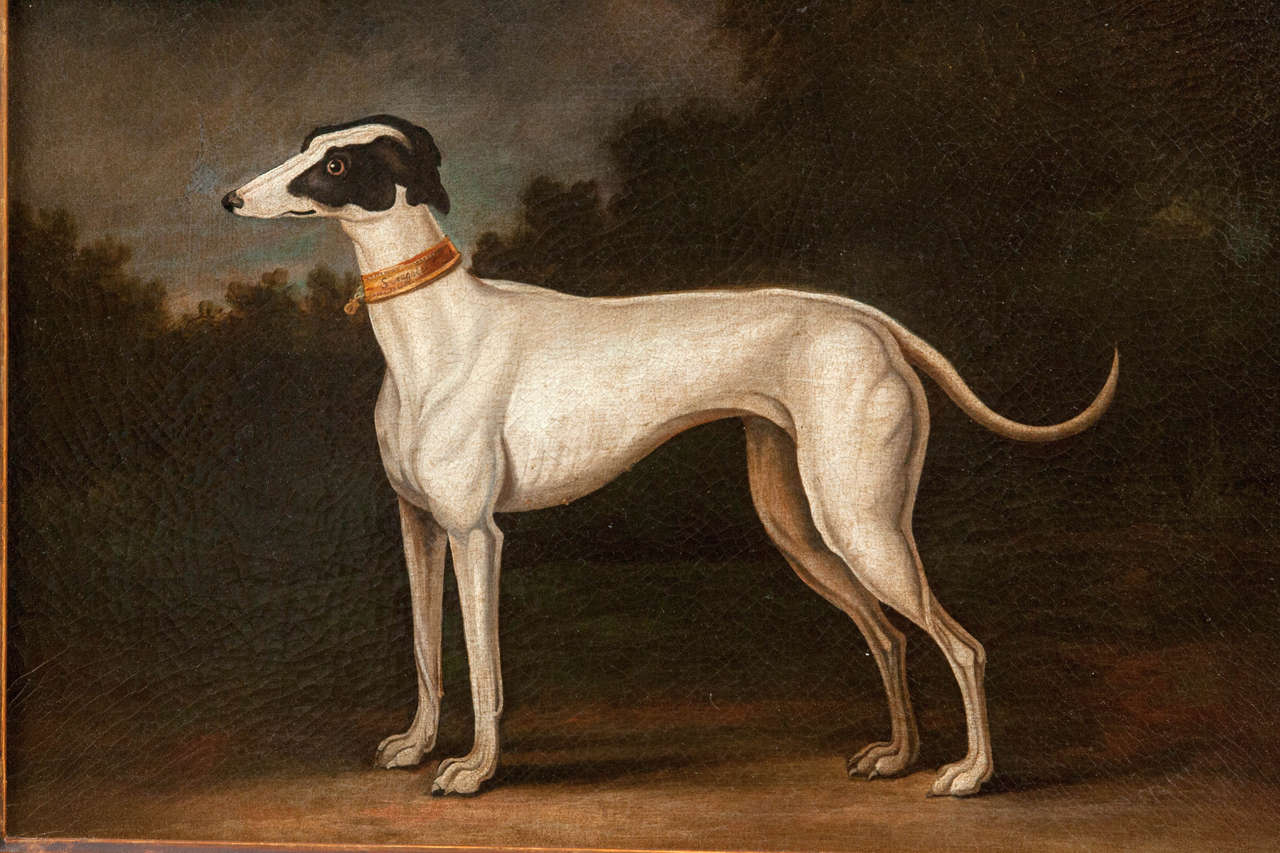 Rococo Pair of Late 18th Century English Greyhound