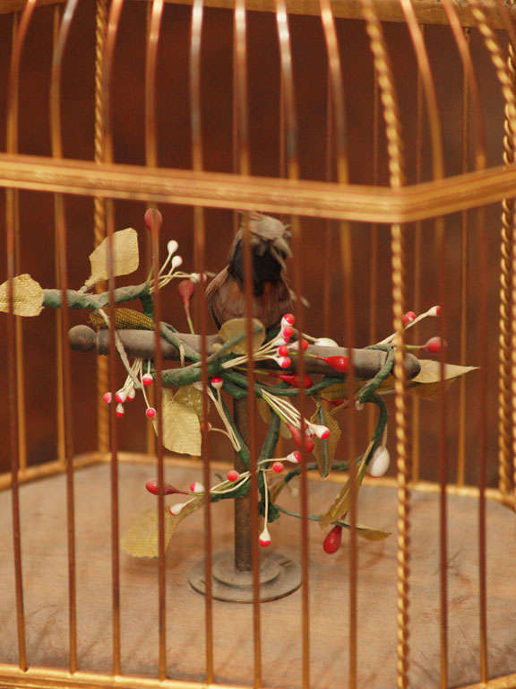 French Gilt Metal And Wood Automaton Birdcage 2