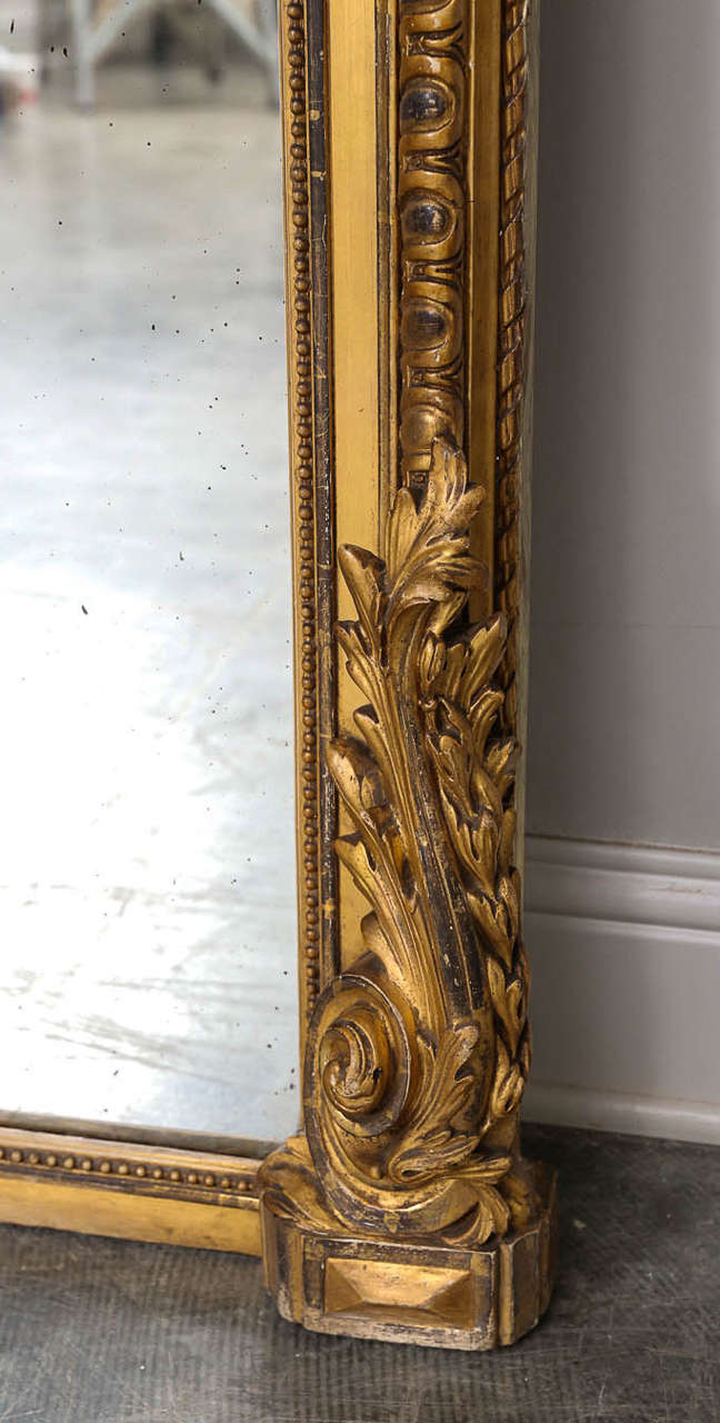 19th Century, French Louis XVI Style Grande Mirror in Gold Gilt 4