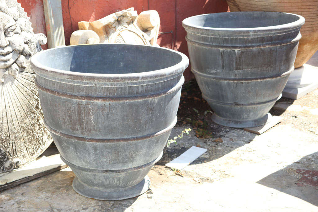 BISHOP <br />
<br />
TRADITIONAL STRIPED EGG CUP PLANTERS