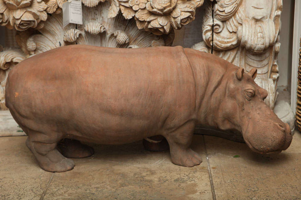 Hippopotamus