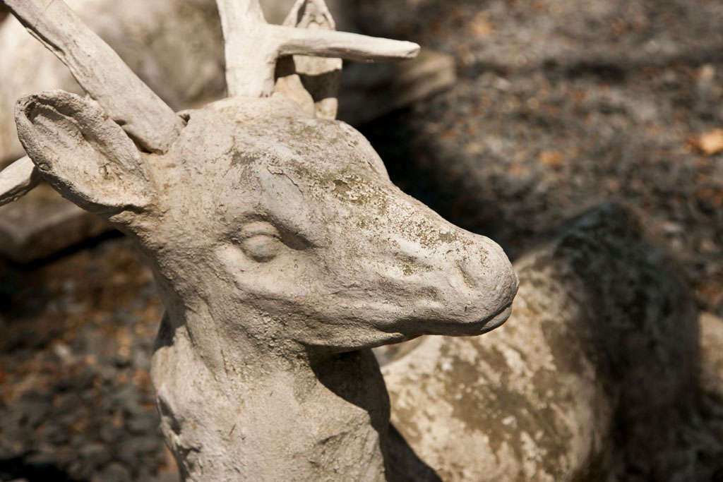 Belgian Reclining Large Cement Deer