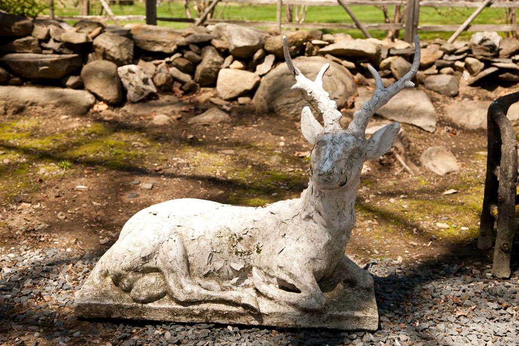 Belgian Reclining Large Cement Stag on Platform