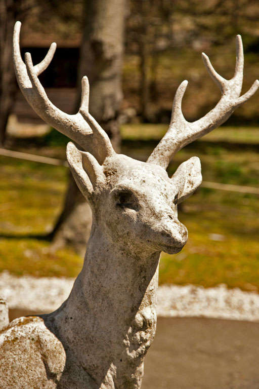 Belgian Large Standing Deer