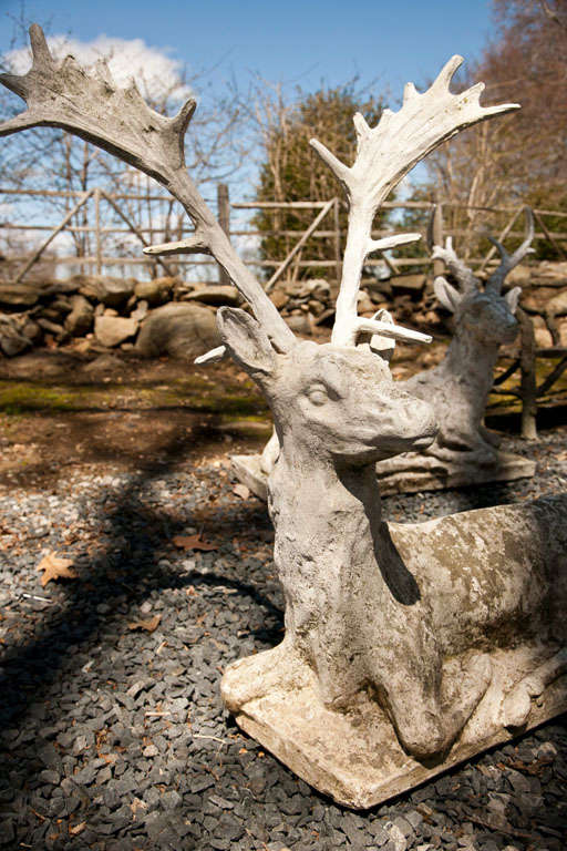 Reclining Large Cement Deer at 1stDibs
