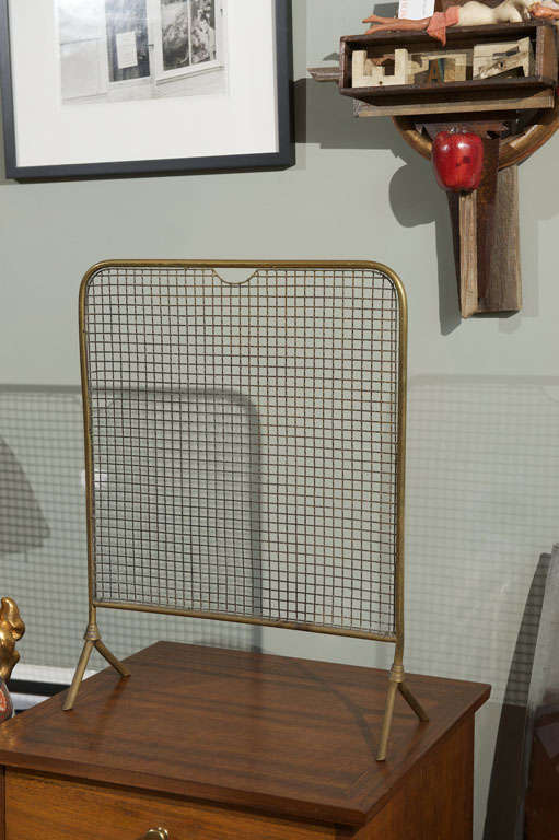 Small simple brass fire place screen.