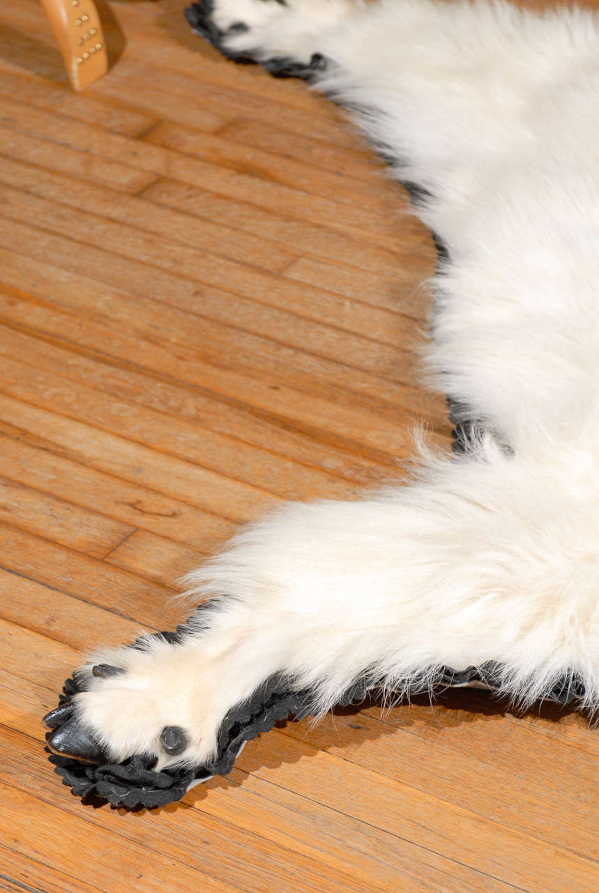 mountain goat rug mount