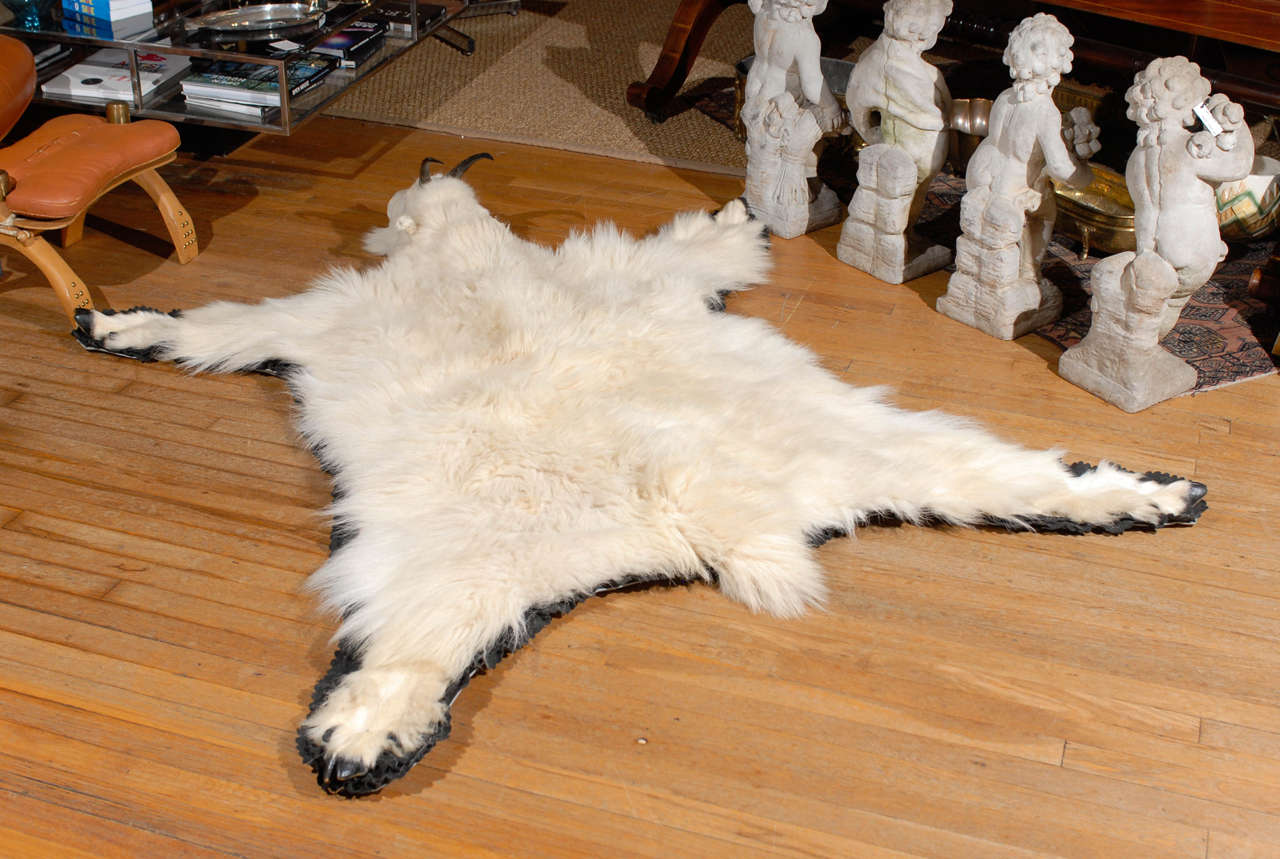 White Mountain Goat Taxidermy Rug In Excellent Condition In Atlanta, GA