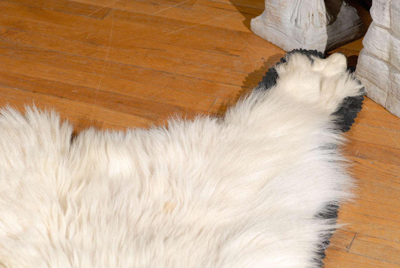 White Mountain Goat Taxidermy Rug at 1stDibs