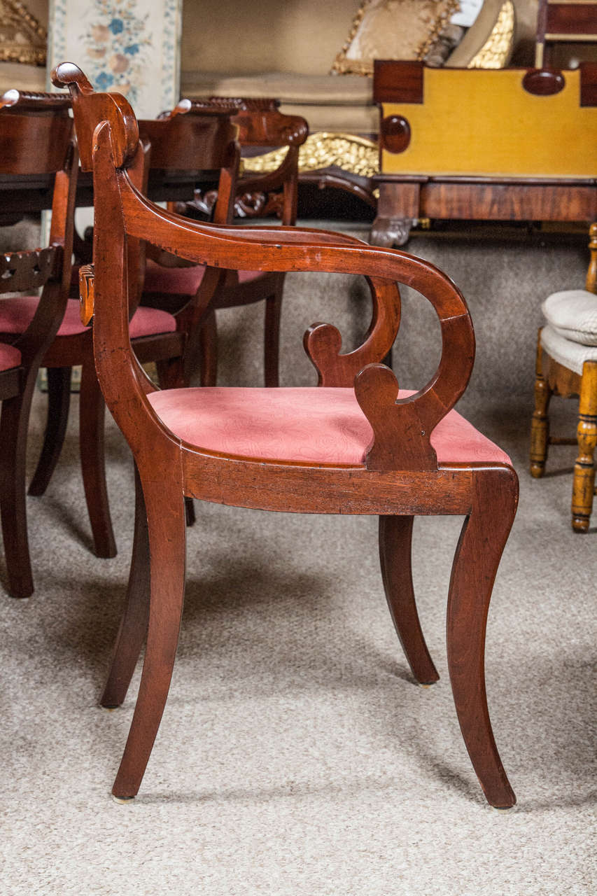Set Eight English Regency Dining Chairs 19th C. Solid Mahogany Scroll Carvings 4