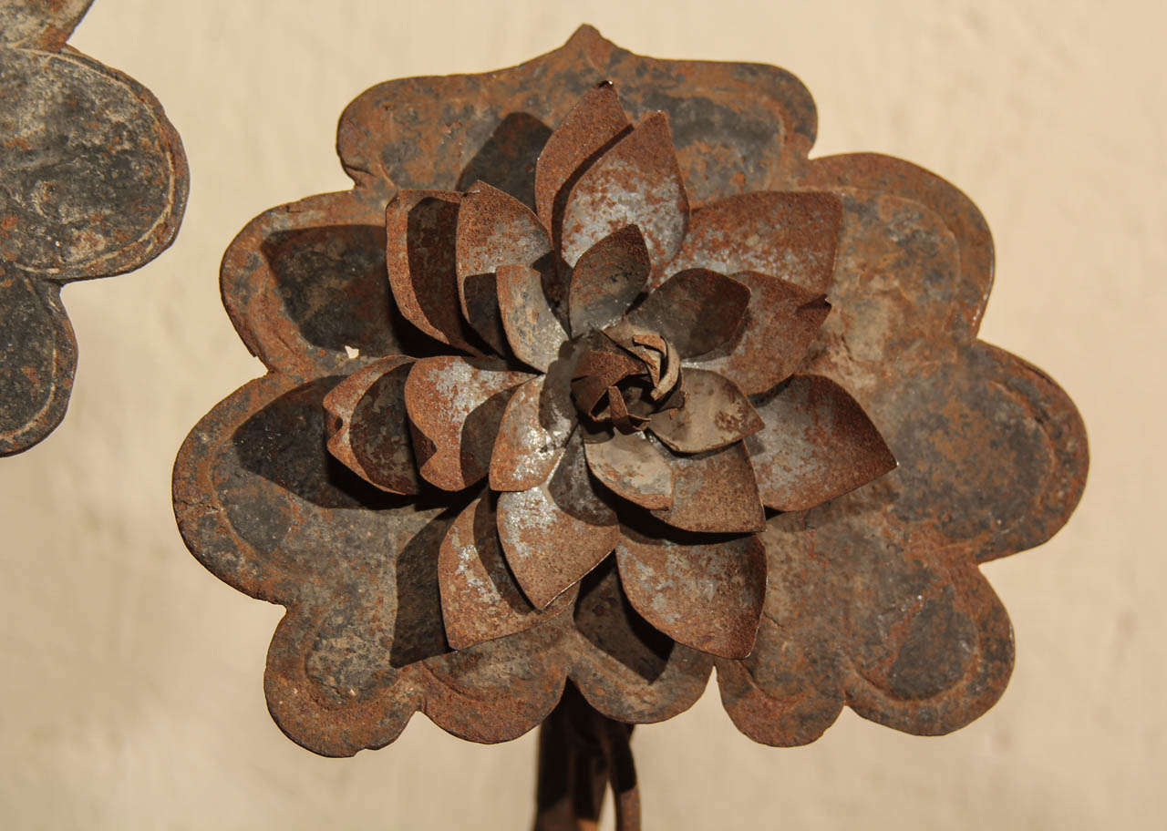 19th Century Chinese Iron Lotus Ornaments For Sale
