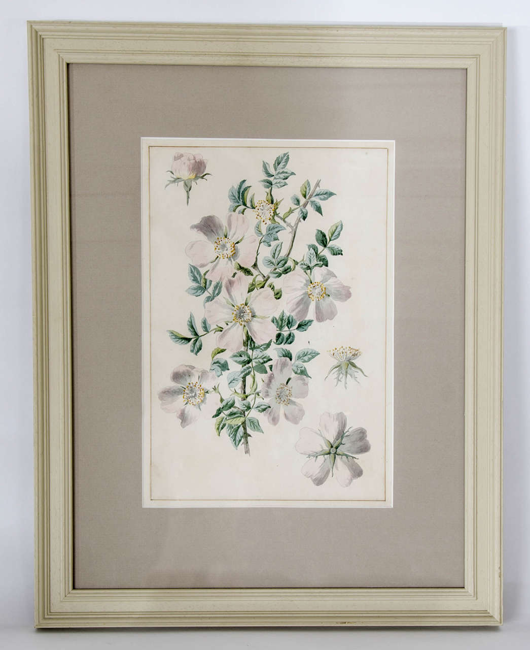 A charming pair of early 20th century botanical watercolours by Dr Francis Martin Russell.

English, circa 1900
DR FRANCIS MARTIN RUSSELL (1820-1915) 
Francis Martin Russell was born in Marlborough, Wiltshire the son of an ironmonger. His father