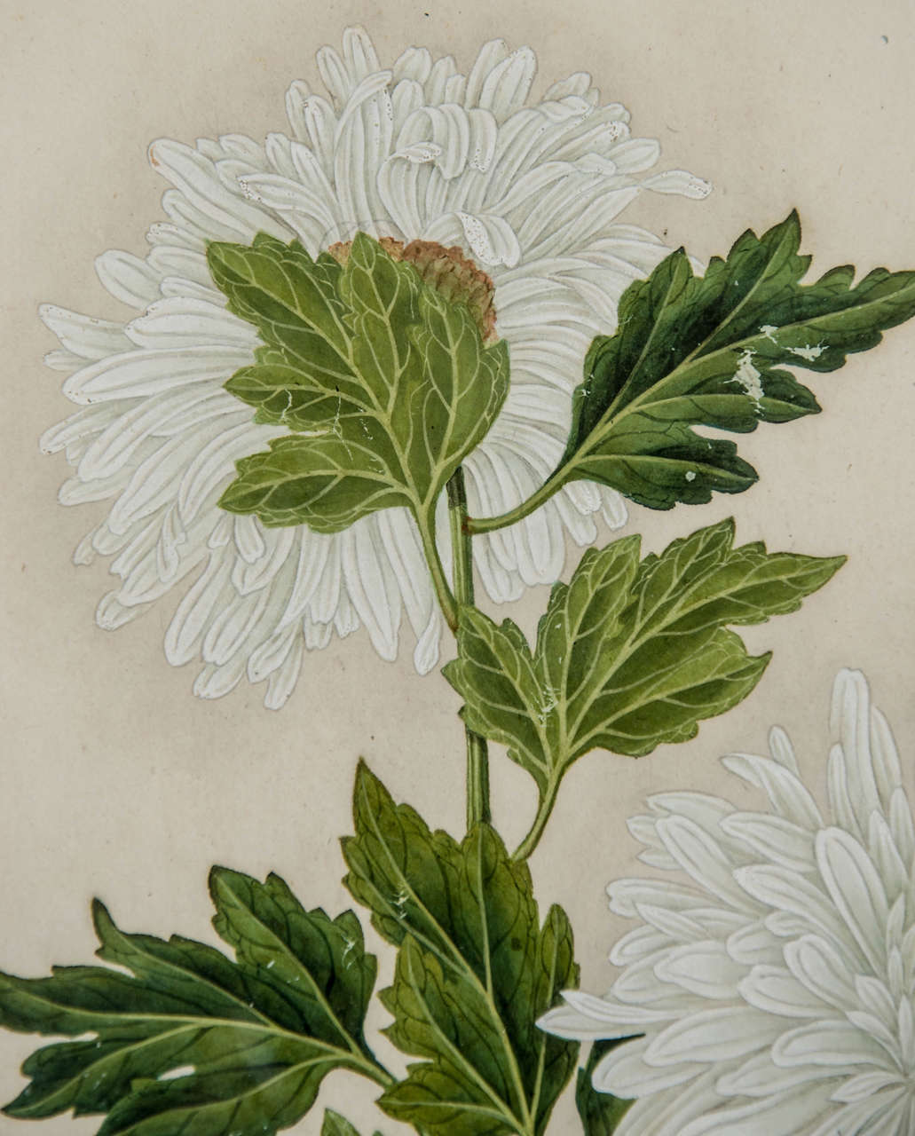 Late 19th Century Set of Three Watercolours of Flowers For Sale