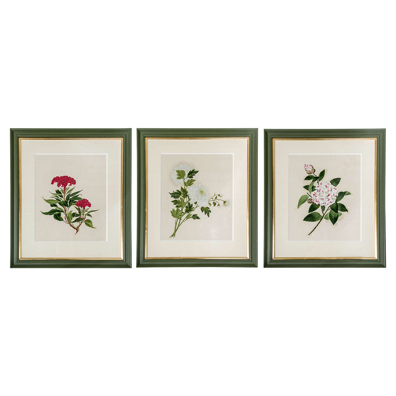 Set of Three Watercolours of Flowers For Sale