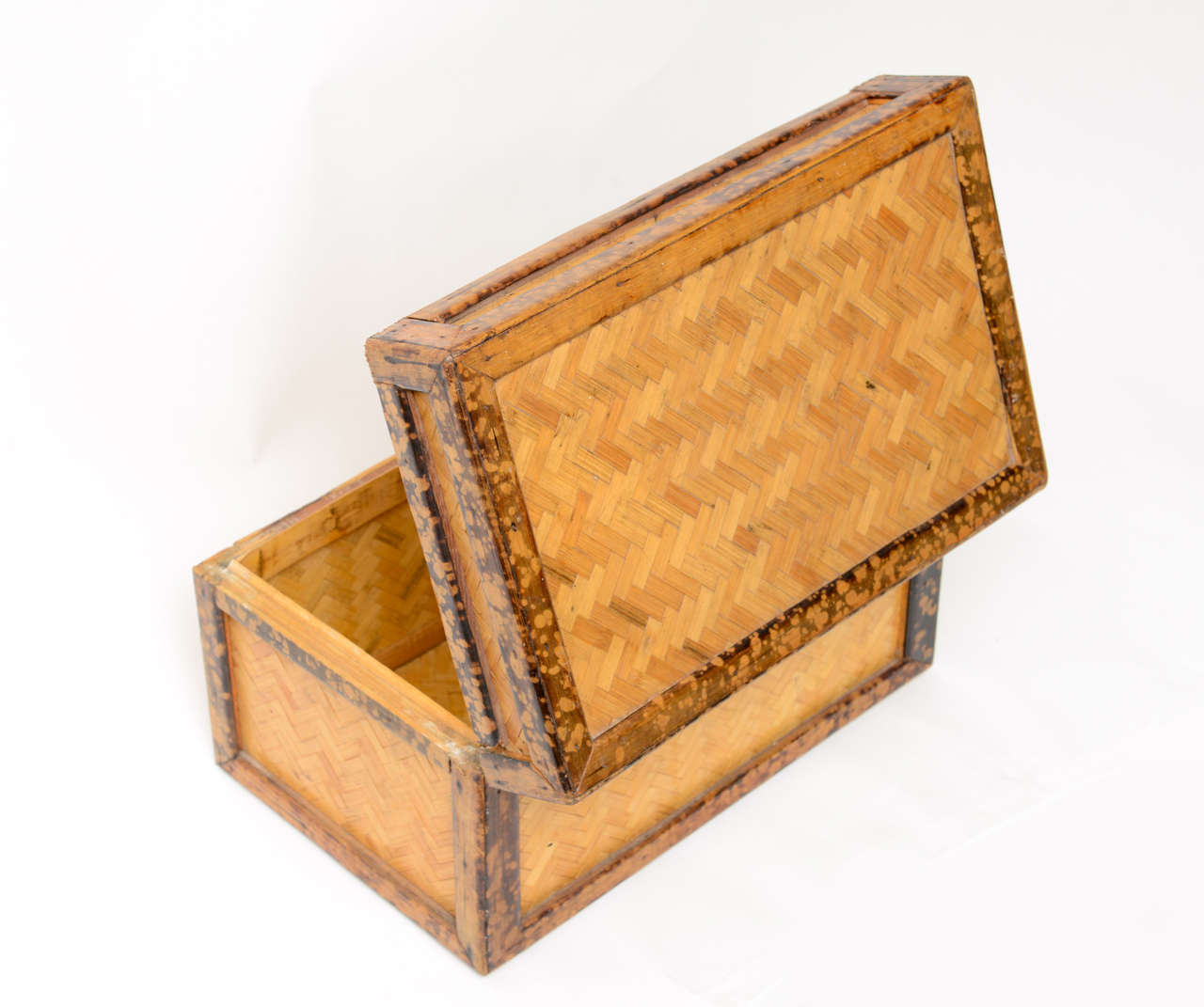 English Tortoise Bamboo Box 4