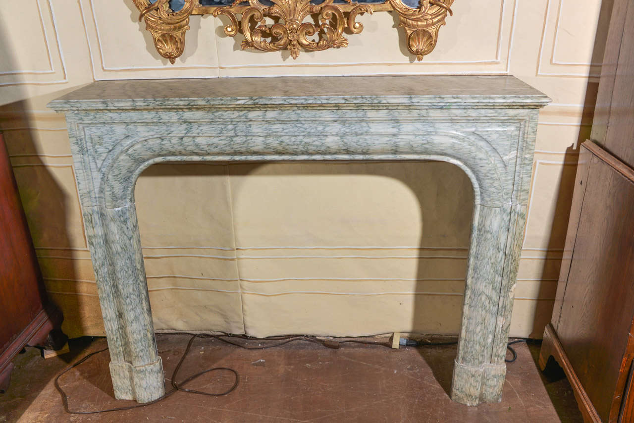French Louis XIV Style Cippolino Stone Fireplace Surround