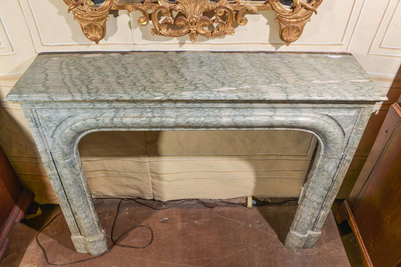 French Louis XIV Style Cippolino Stone Fireplace 3