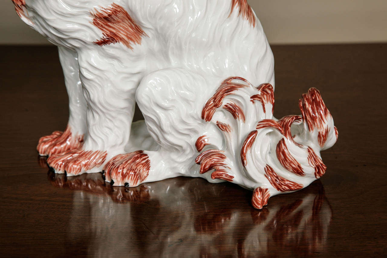 Rococo Very Large Porcelain Dresden 'Bolognese' Dog after the Model by Kandler