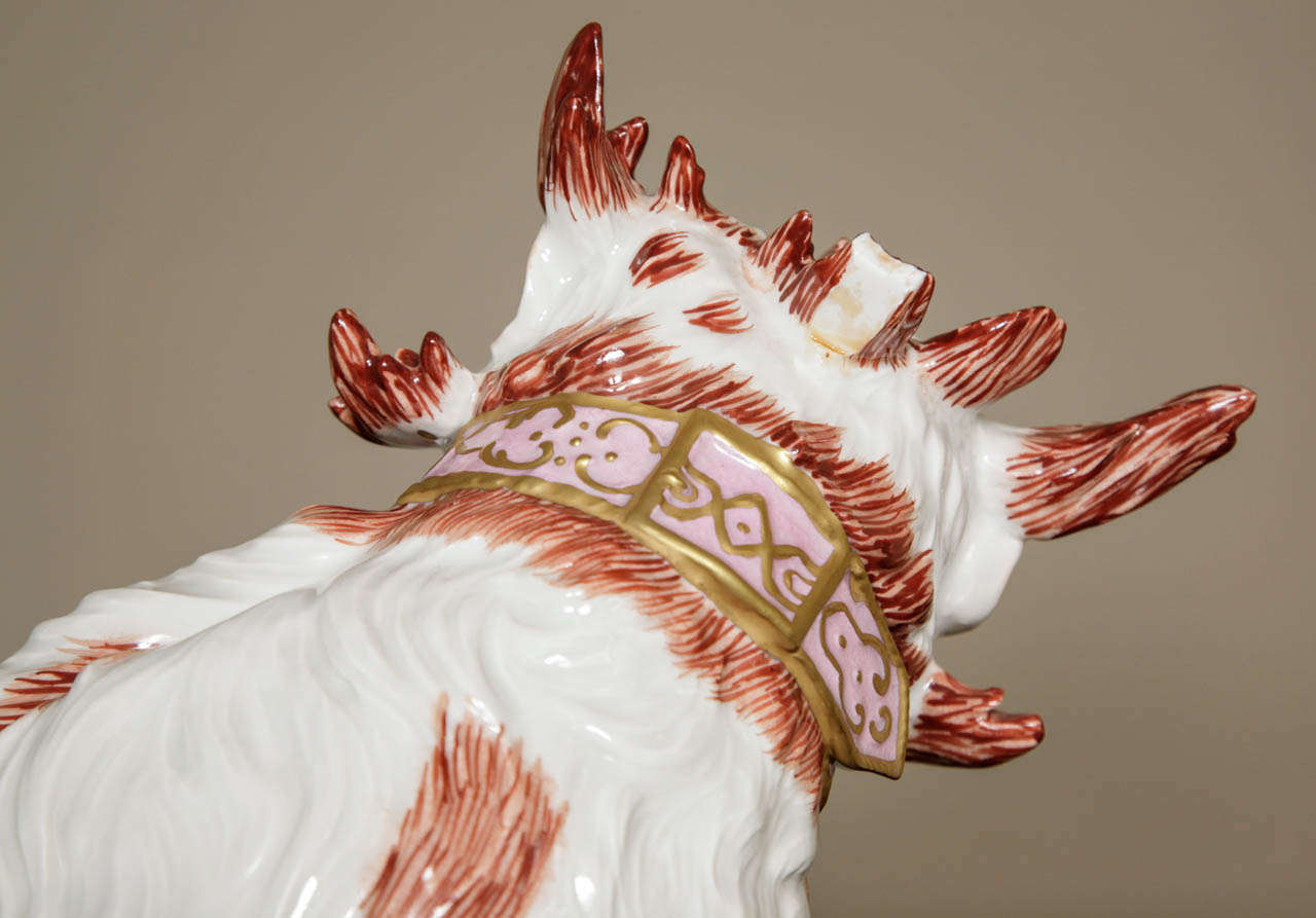 20th Century Very Large Porcelain Dresden 'Bolognese' Dog after the Model by Kandler