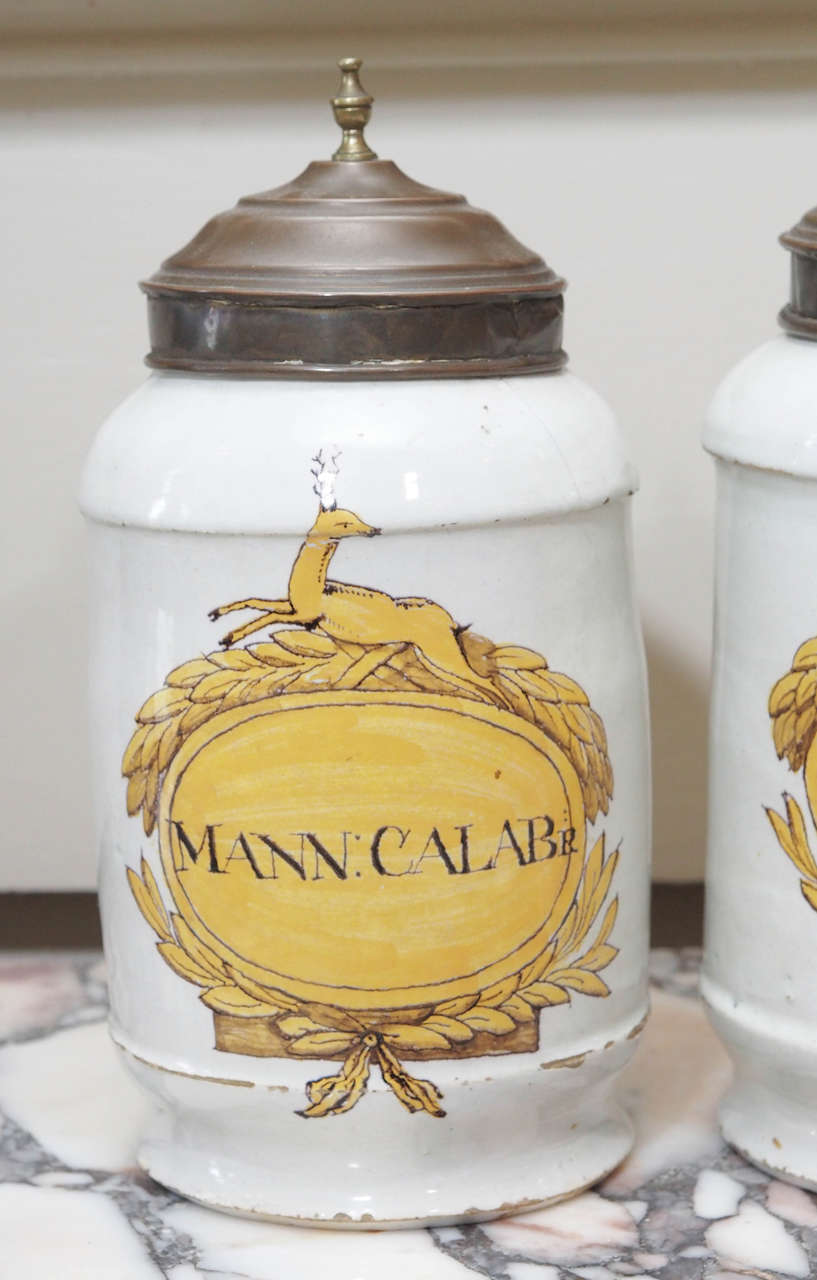 European Pair of Apothecary Jars with a Stag Mounted Cartouche For Sale