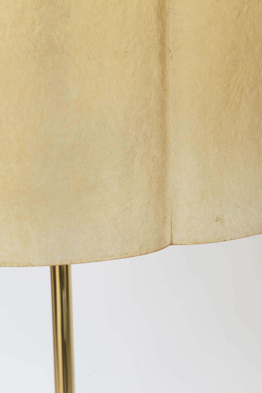 Polished Rare Salvatore Gregorietti Floor Lamp