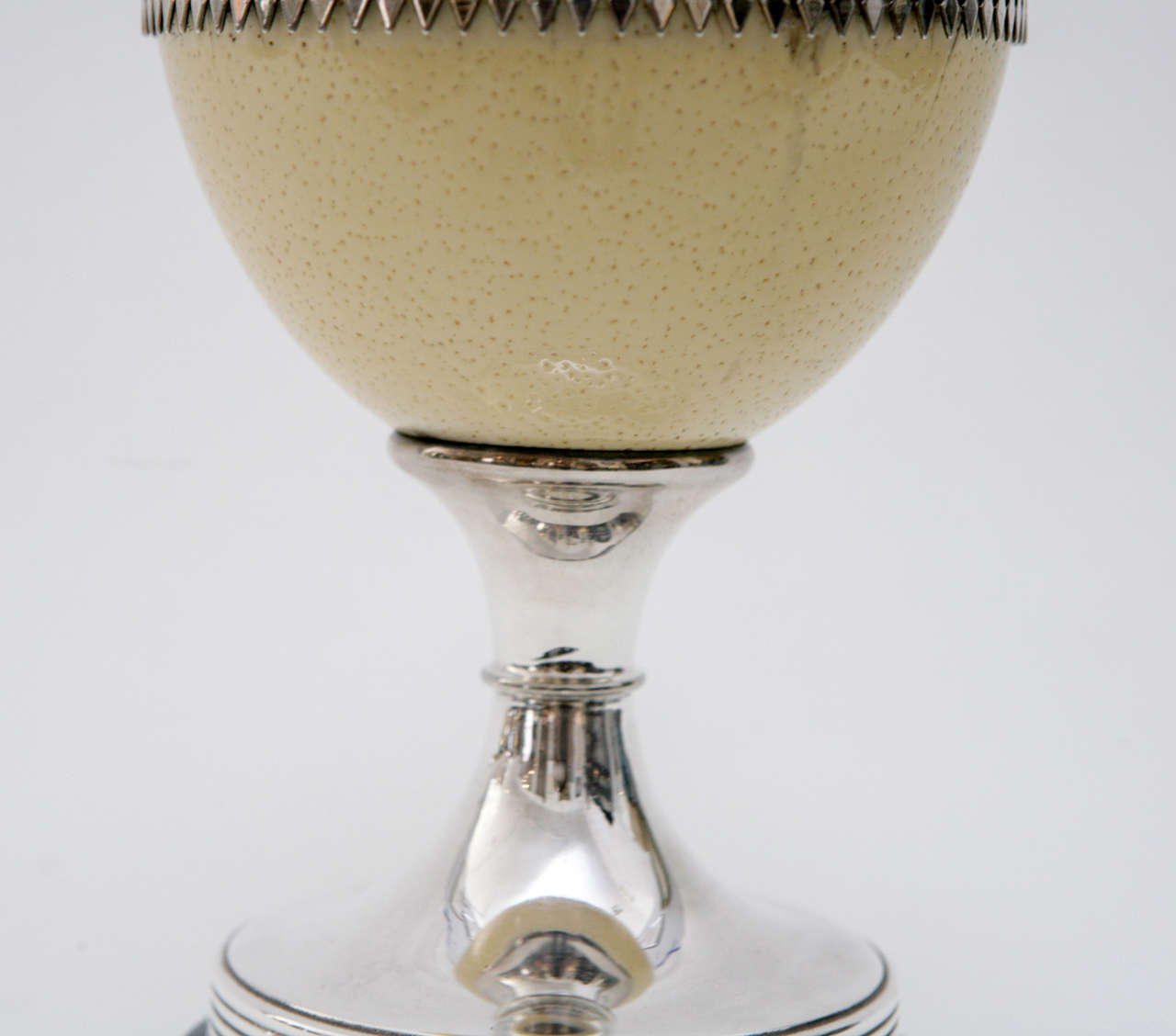 Ostrich Eggshell Footed Ostrich Egg Box by Antony Redmile