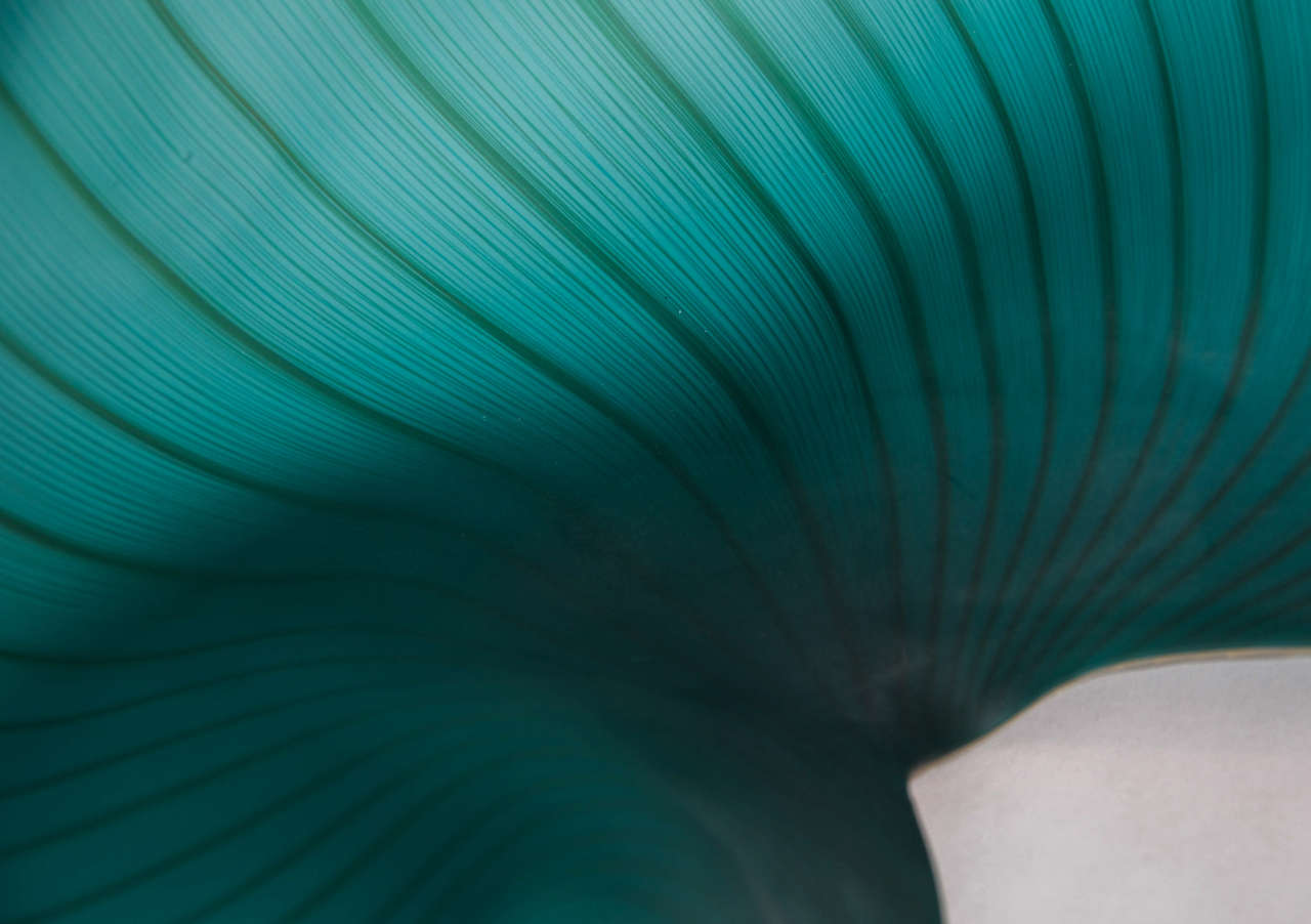 Contemporary Petal in Teal by Jeremy Maxwell Wintrebert