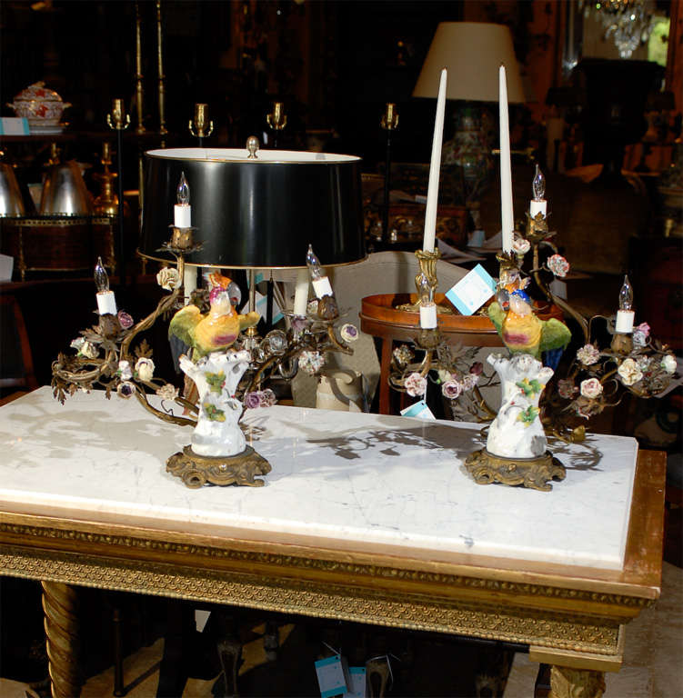 Pair of 19th century French porcelain parrot and floral three-arm lamps.
New wiring.