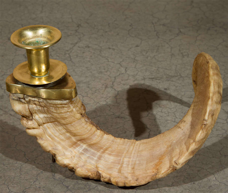 Ram Horn Candle Holders 3