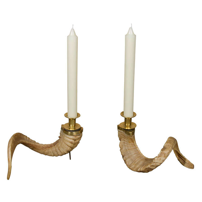 Ram Horn Candle Holders at 1stDibs