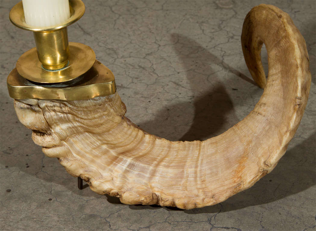 Ram Horn Candle Holders at 1stDibs ram horn candlestick holders