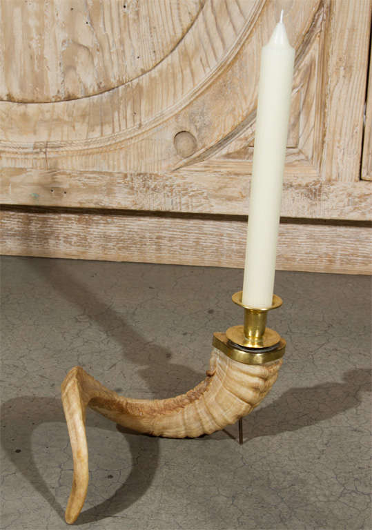 Ram Horn Candle Holders at 1stDibs ram horn candlestick holders