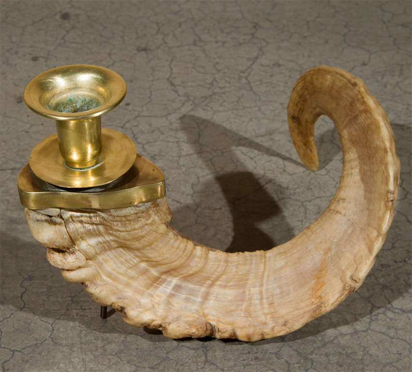 Ram Horn Candle Holders at 1stDibs ram horn candlestick holders