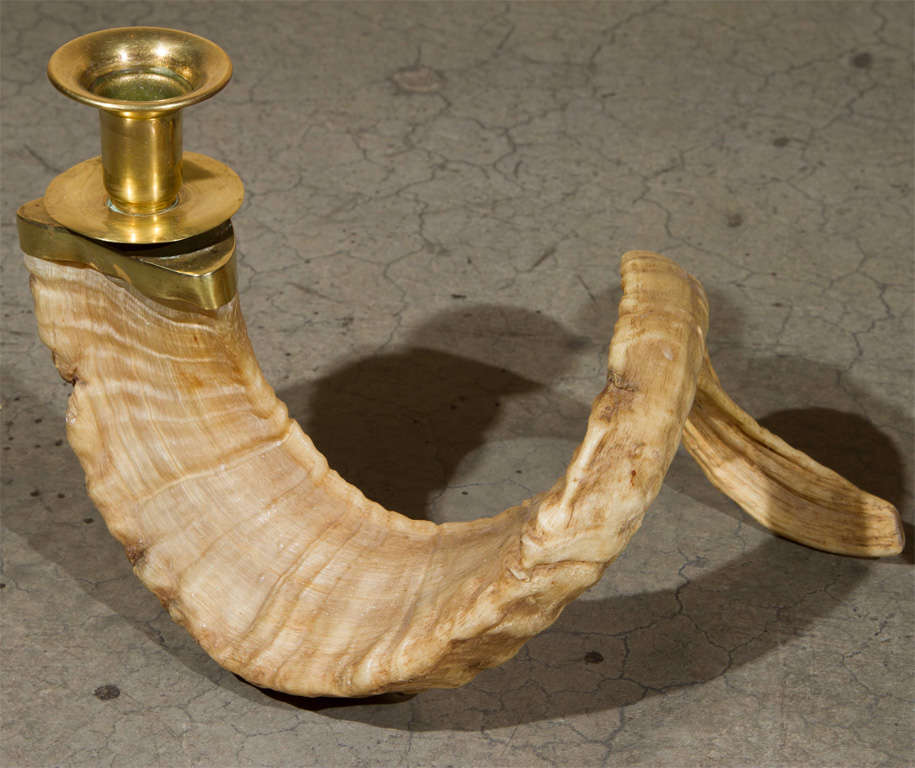 Ram Horn Candle Holders at 1stDibs ram horn candlestick holders