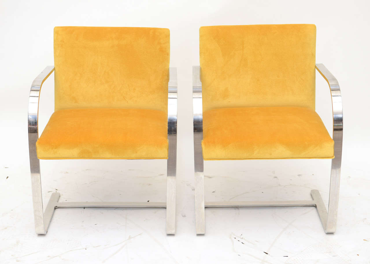 American Pair of Ludwig Mies van der Rohe Brno Chairs for Knoll
