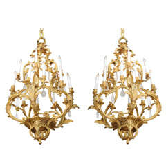 An Exquiste Pair of French Gilt Bronze Chandeliers